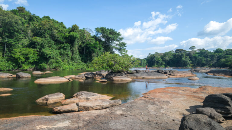 Mount Kasikasima Hike: Complete Suriname Trekking Guide
