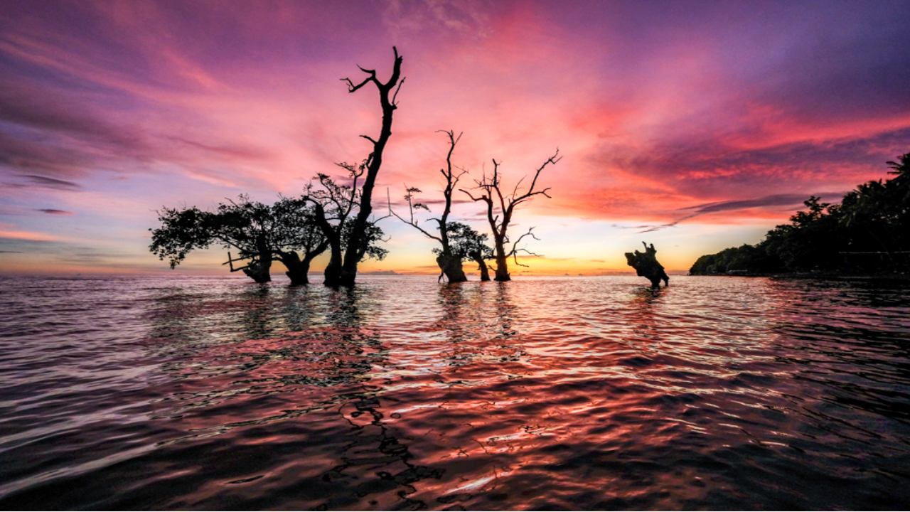Practical Ternate Island Travel Guide Getting There, Moving Around, and Staying