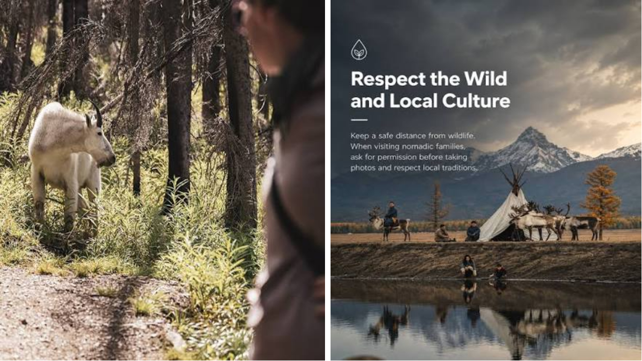 Safety, Wildlife, and Cultural Respect on the Mountain