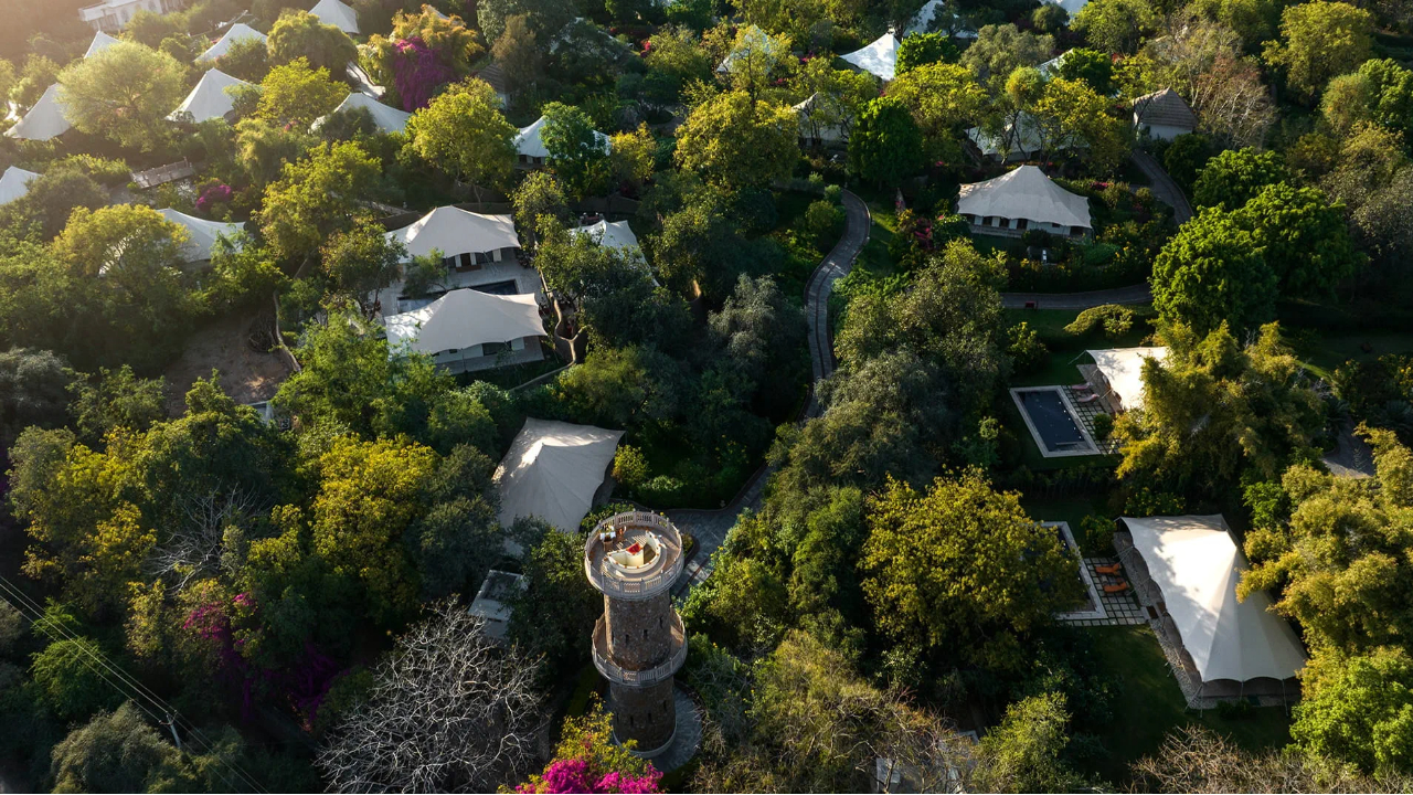 The Wild Residents A Tropical Wildlife Haven