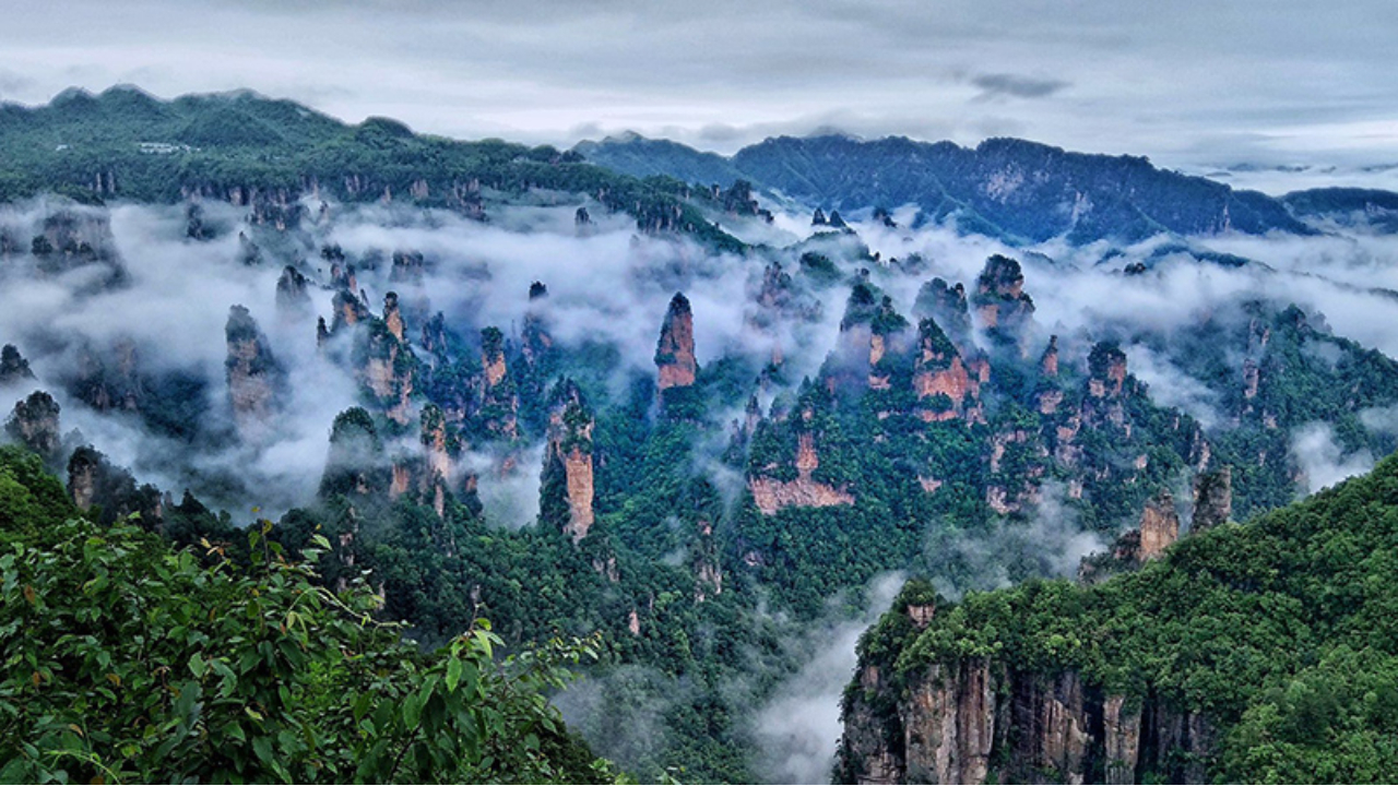 Zhangjiajie Forest Park