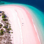 Komodo Pink Beaches A Complete Travel Guide