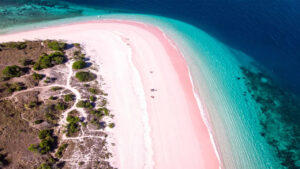 Komodo Pink Beaches A Complete Travel Guide