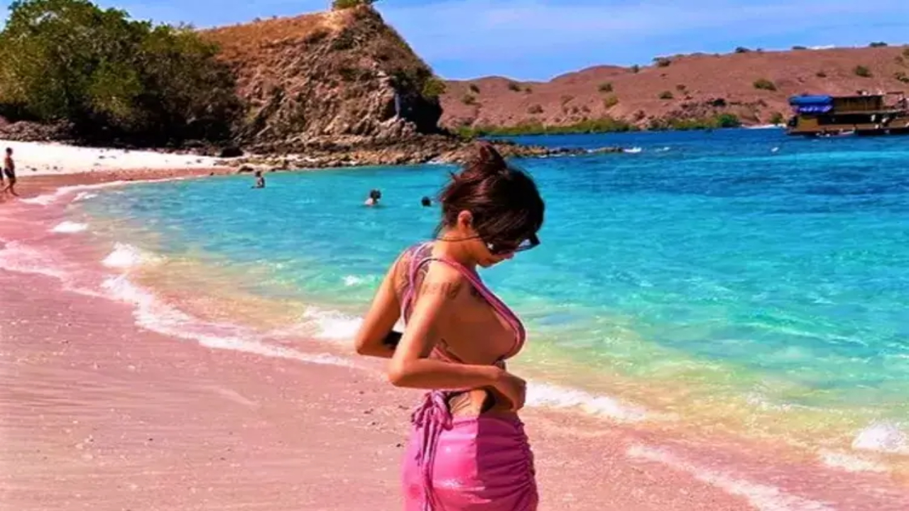 The Most Famous Pink Beach Pantai Merah on Komodo Island