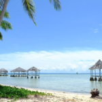 Muna Island Sulawesi
